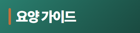 요양 가이드